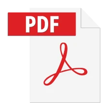 pdf file